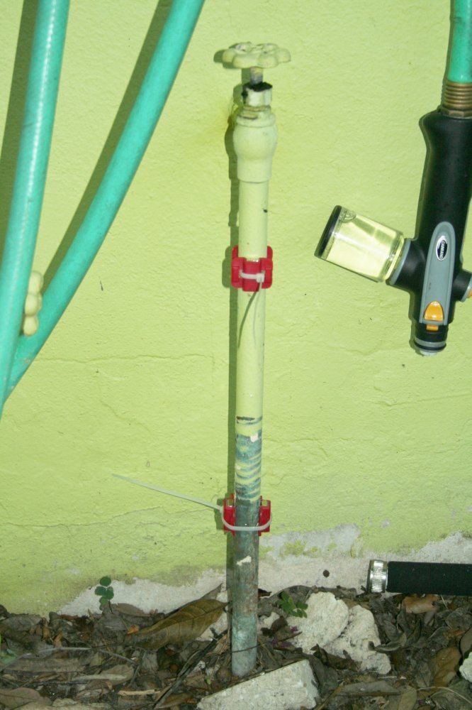 IMG 3542