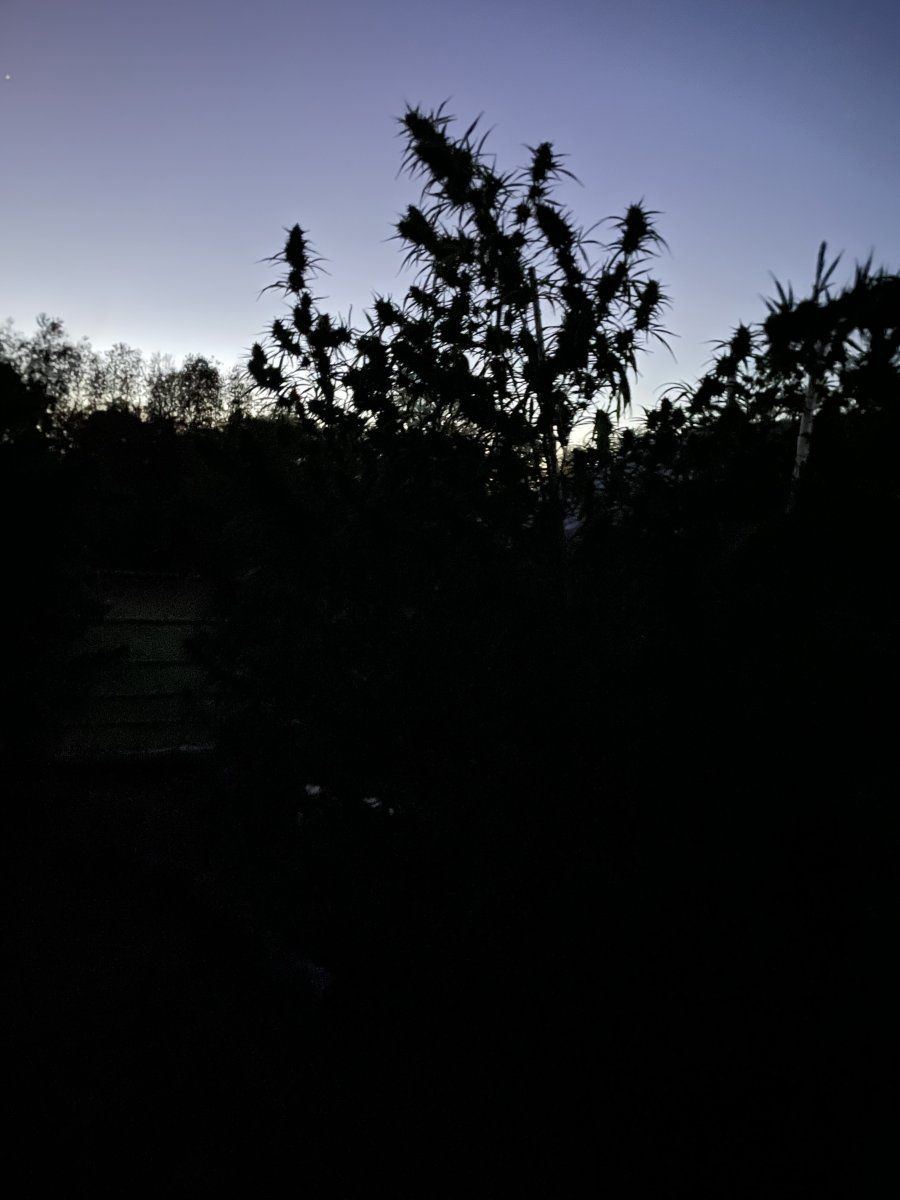 img_3544-jpeg.2543240