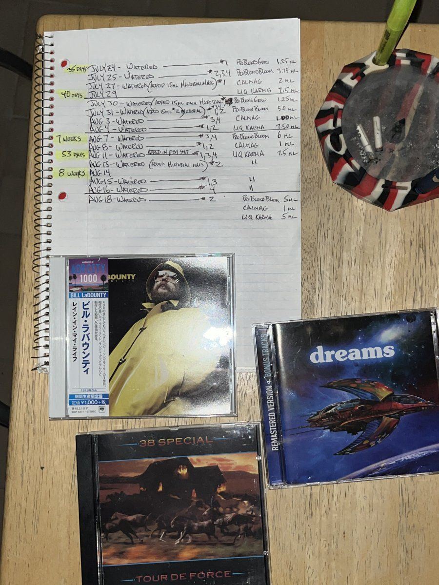 IMG 3571