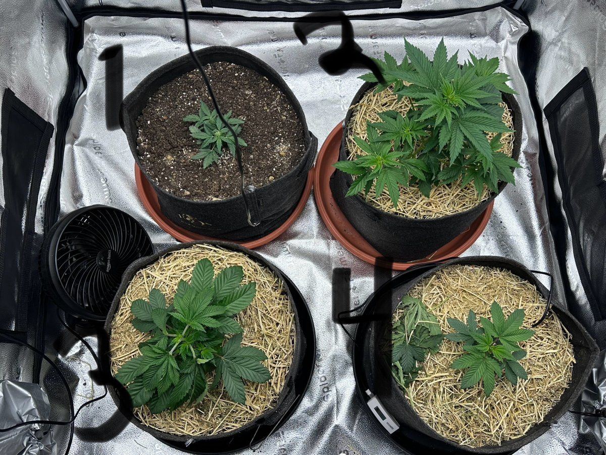 IMG 3630