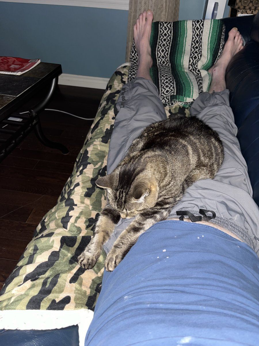 IMG 3692