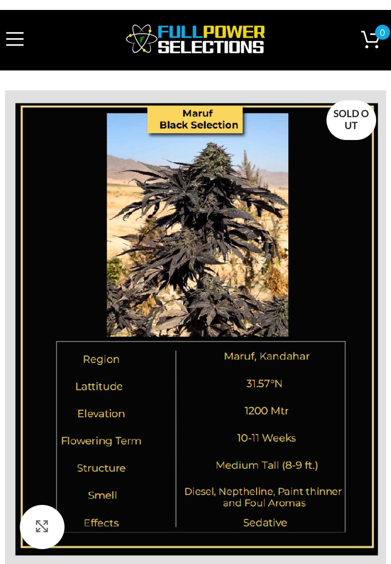 IMG 3692
