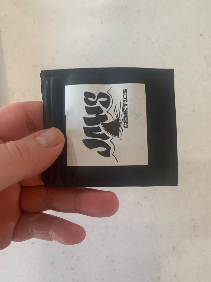 IMG 3760