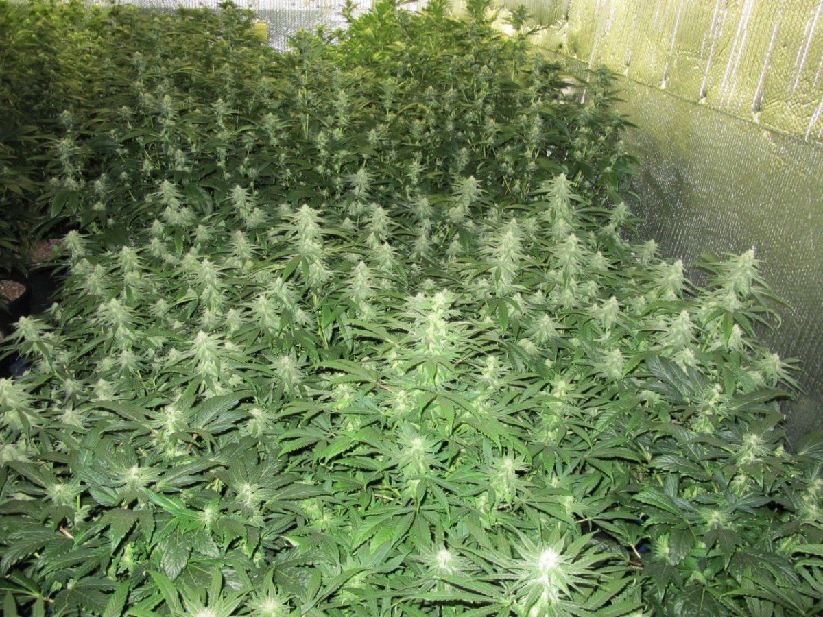 IMG 3855