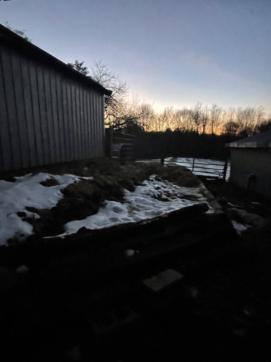 IMG 3955