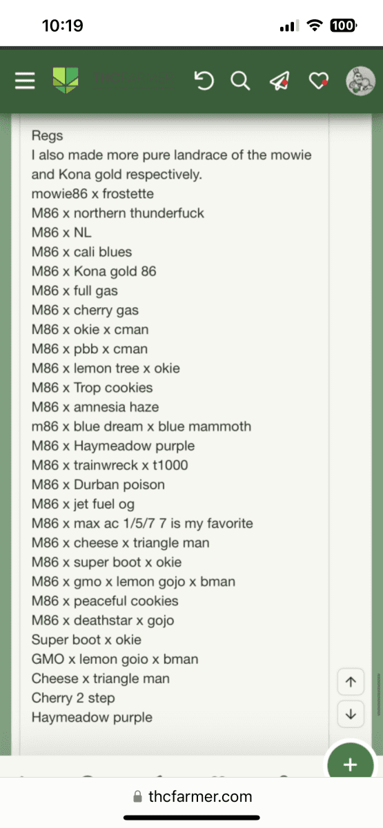 IMG 4057