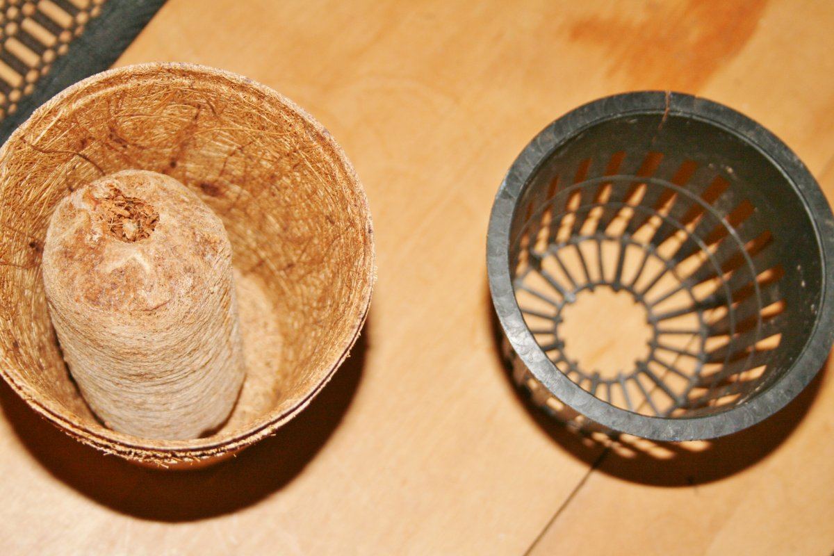 IMG 4423