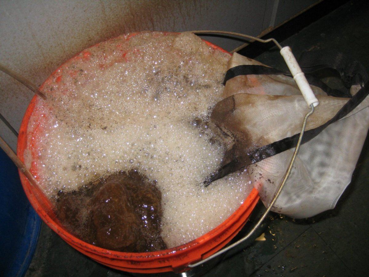 IMG 4557
