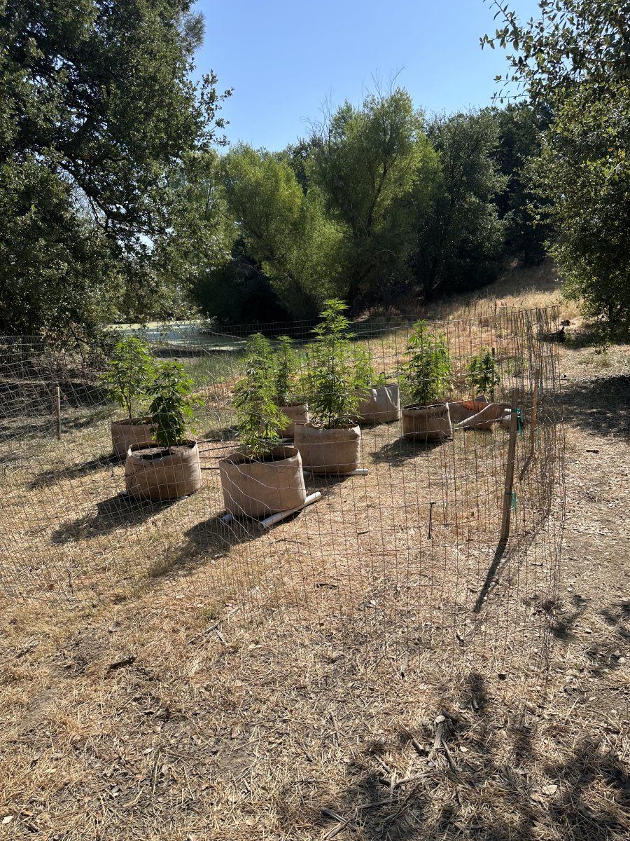 IMG 4678