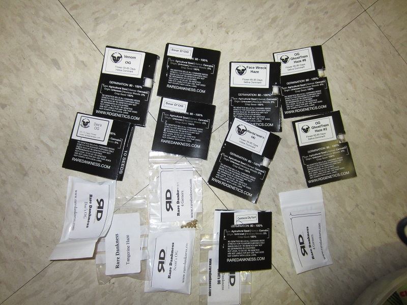 IMG 4821   Copy