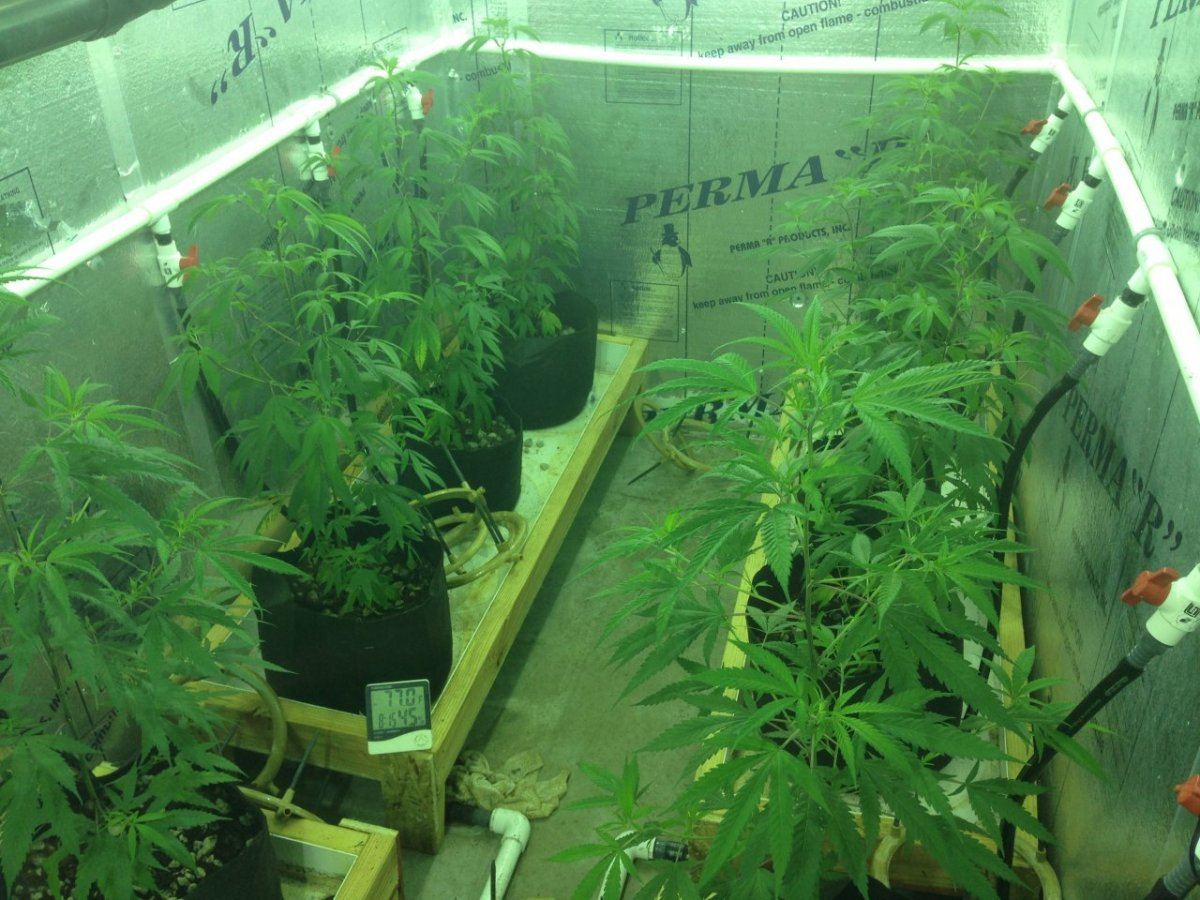 IMG 4924
