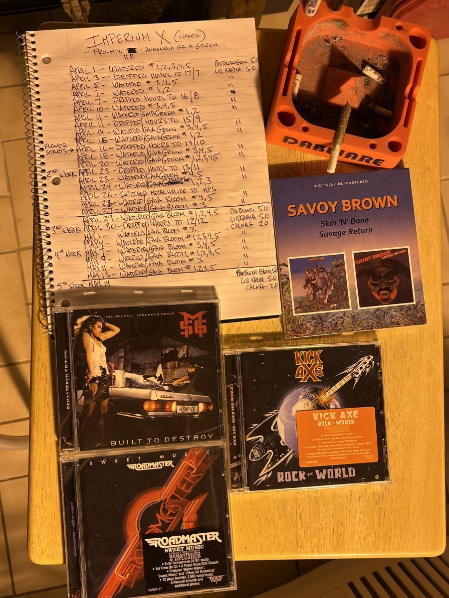 IMG 5045