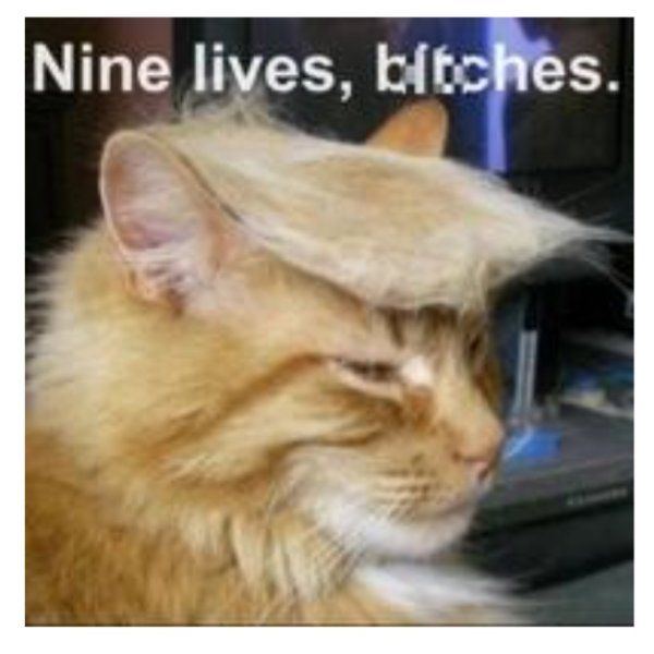 IMG 5202