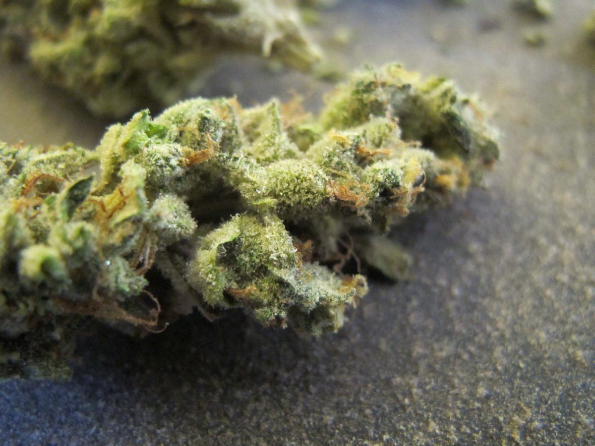 IMG 5371