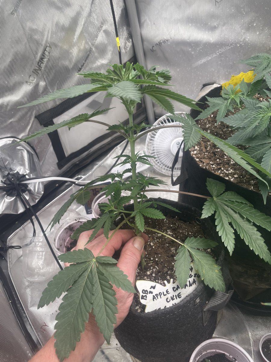 IMG 5657