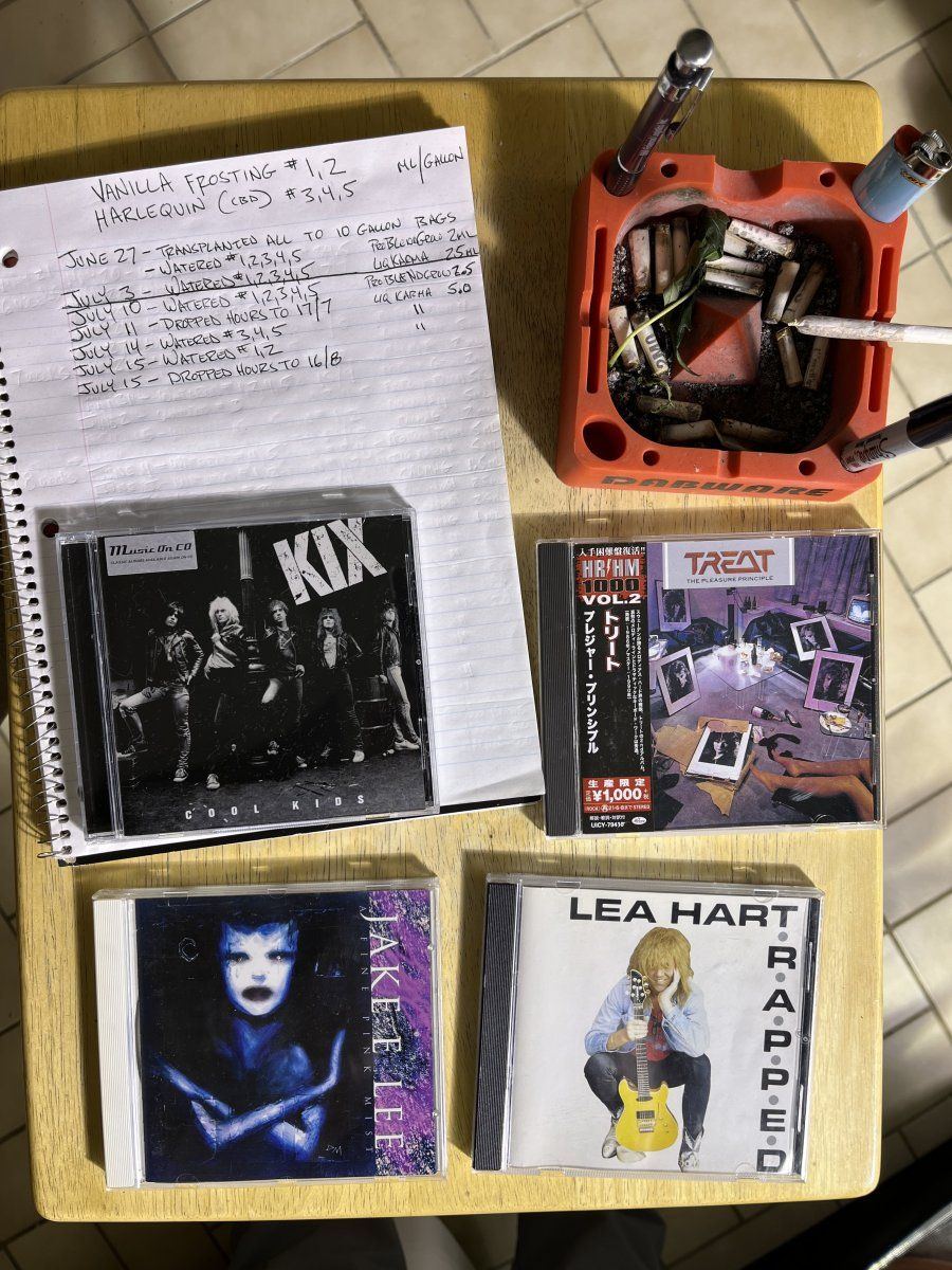 IMG 5773