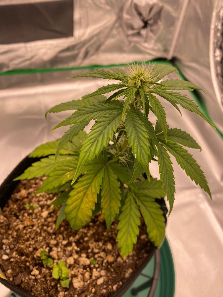 IMG 5857