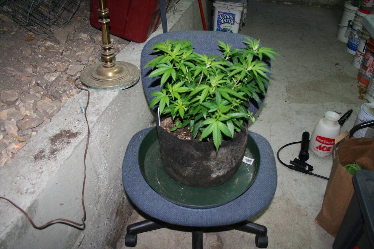 IMG 6290