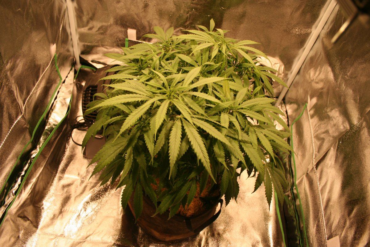 IMG 6298
