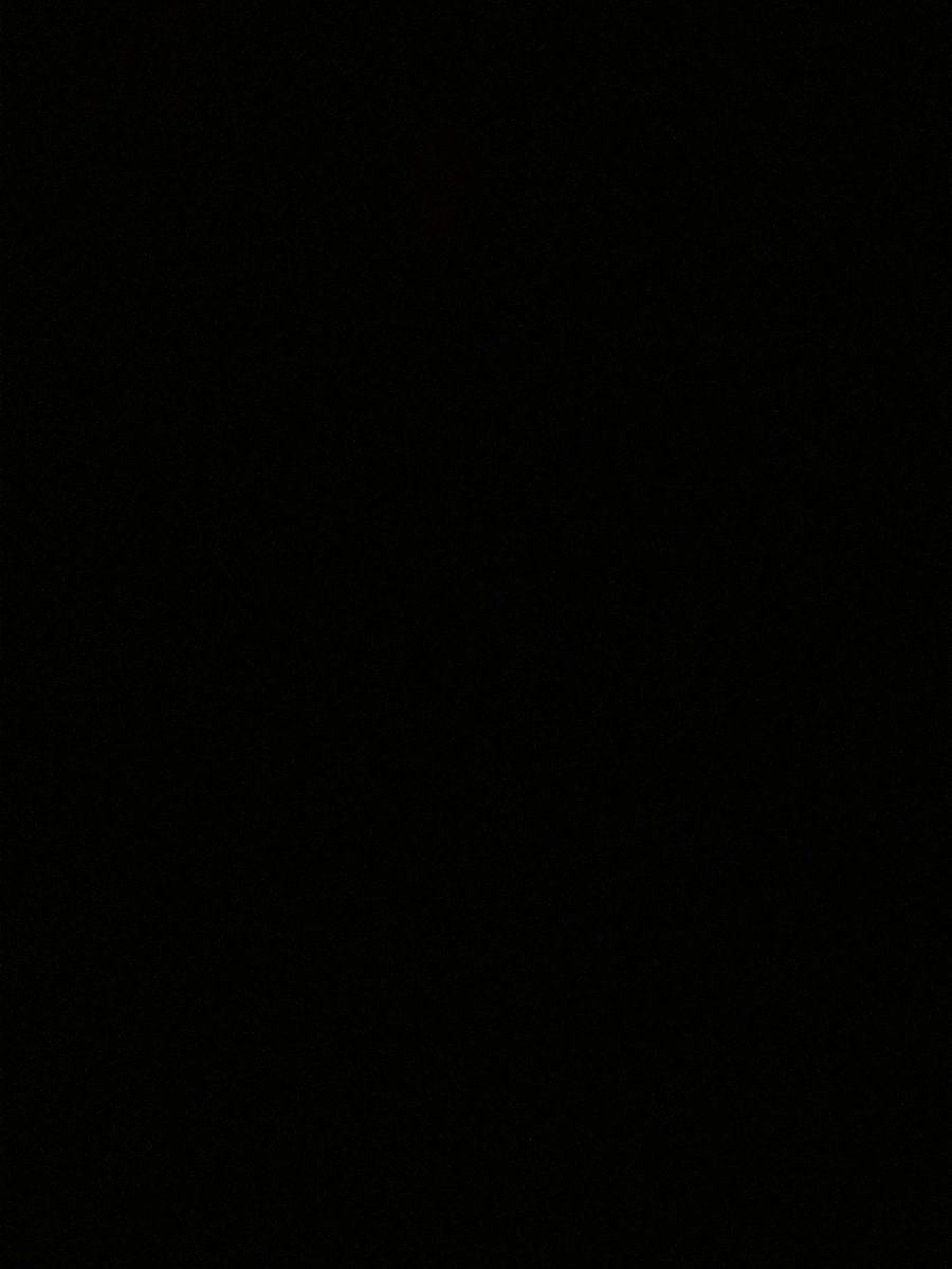 IMG 6461