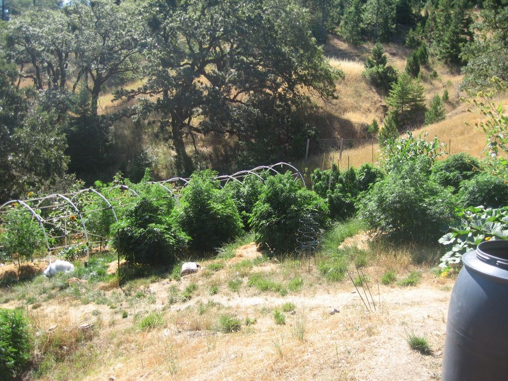 IMG 6594
