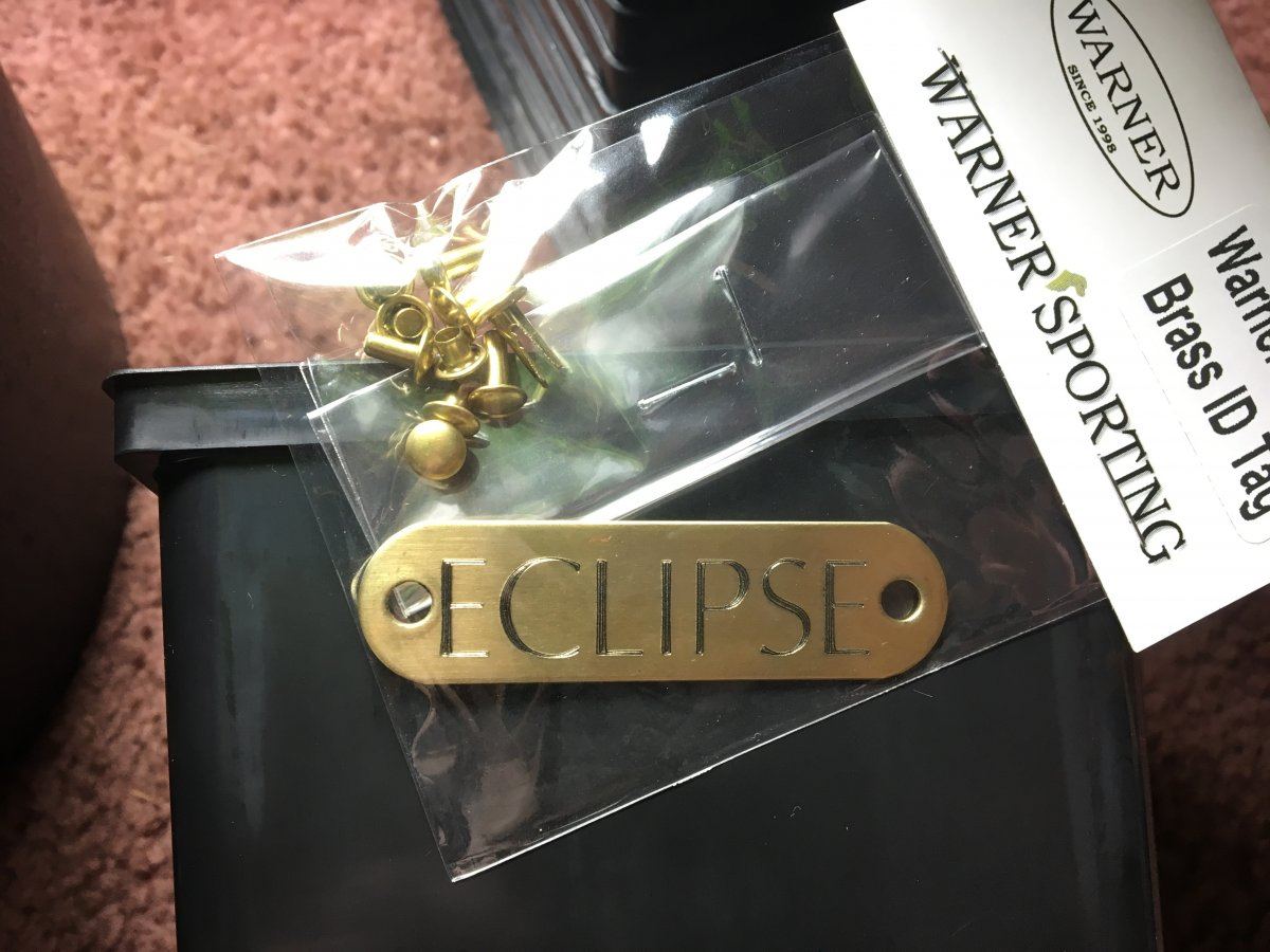 IMG 6739