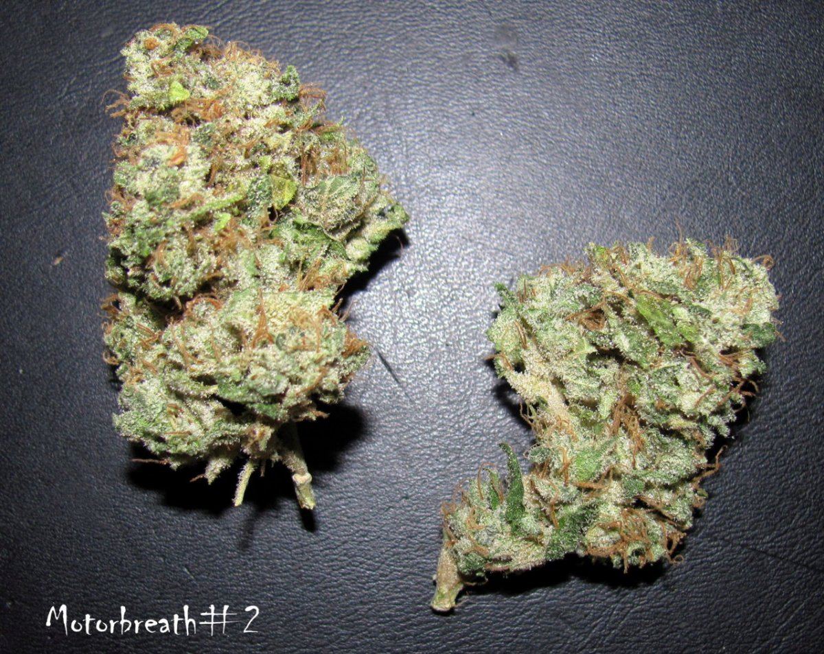 IMG 6938