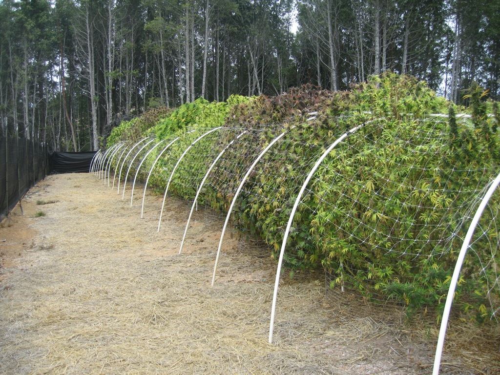 IMG 7368