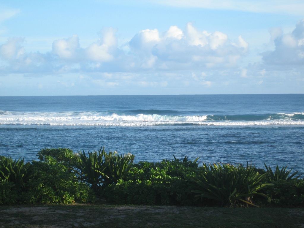 IMG 7483