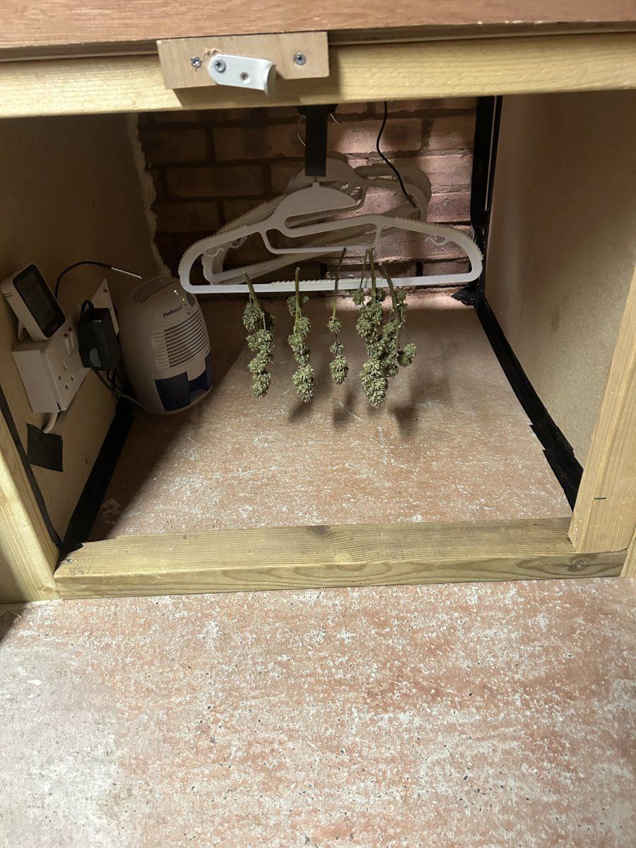 IMG 7545