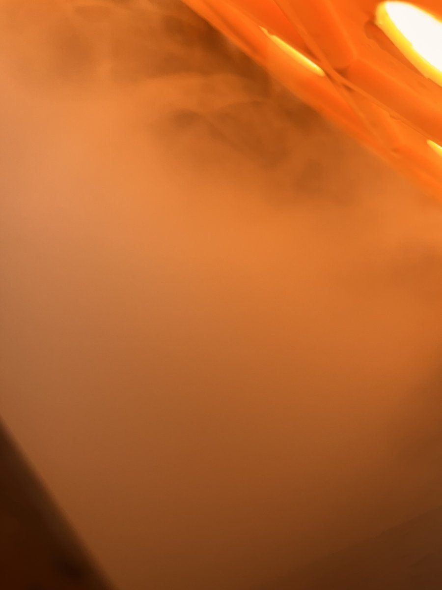 IMG 7867