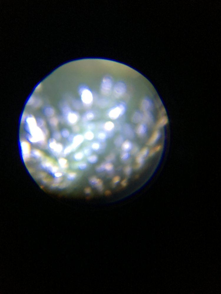 IMG 7871