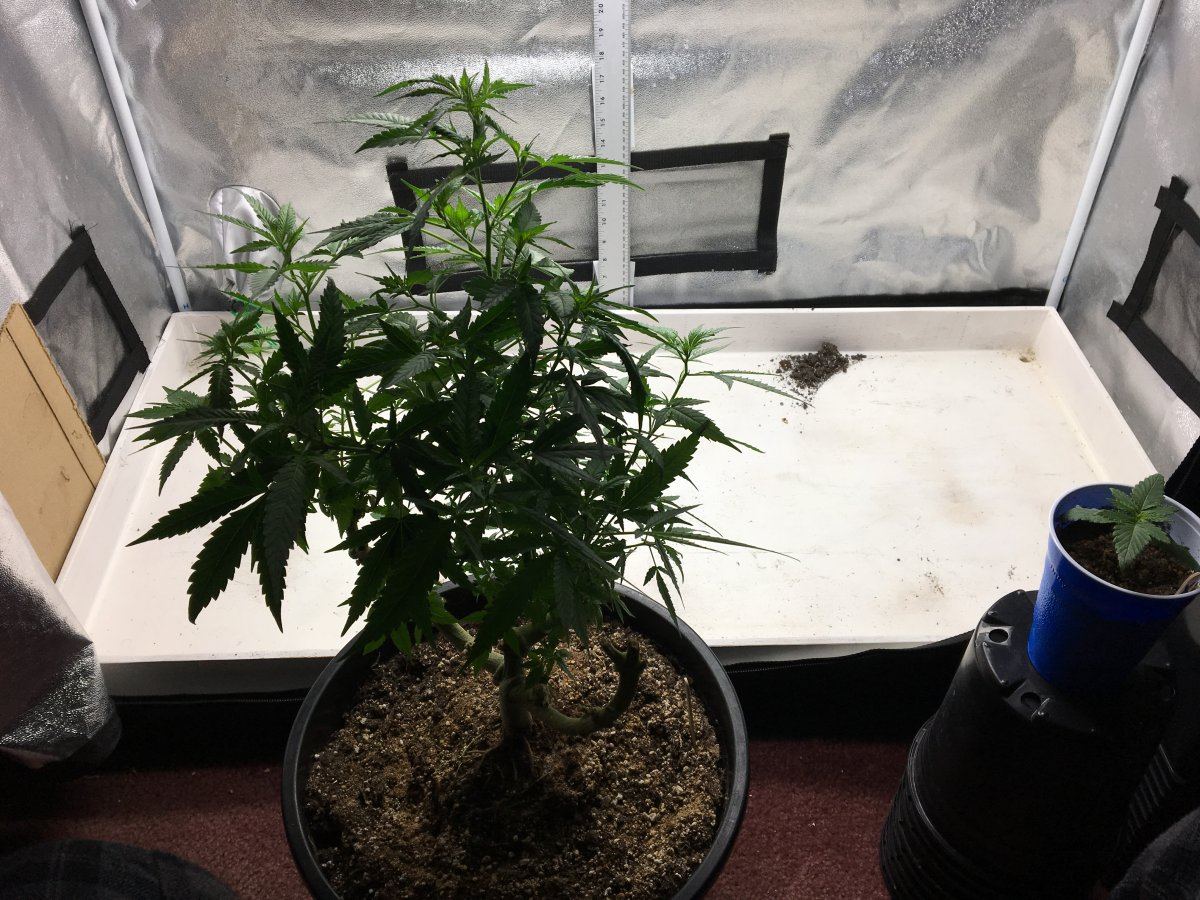 IMG 7917