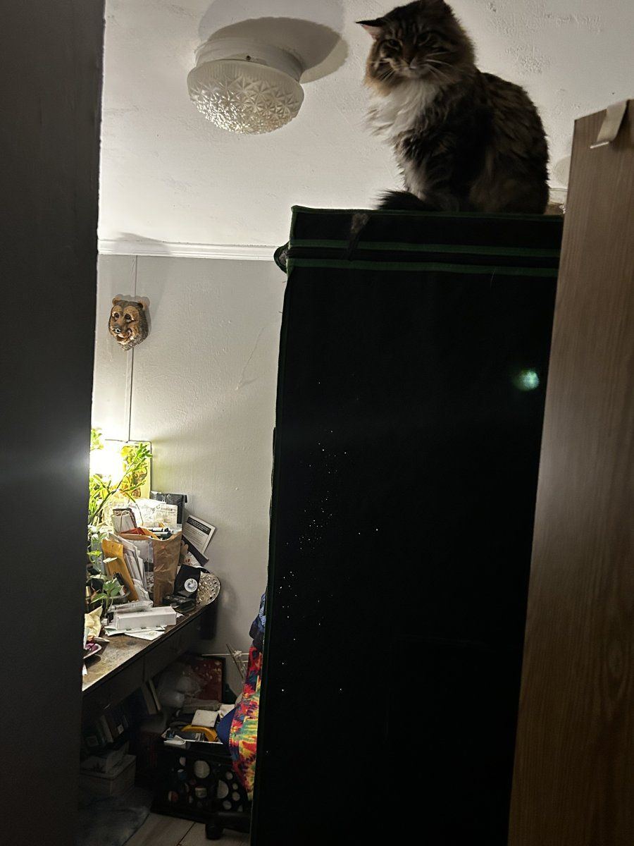 IMG 7942