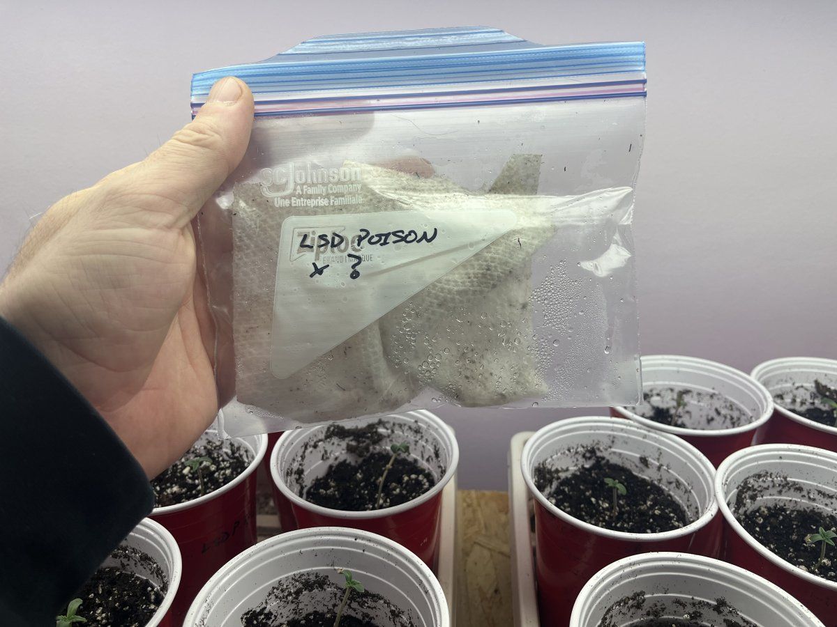 IMG 9082