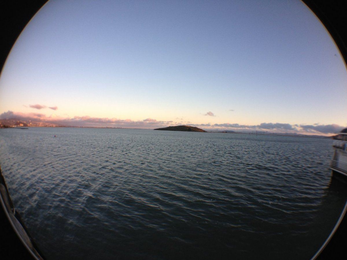 IMG 9089