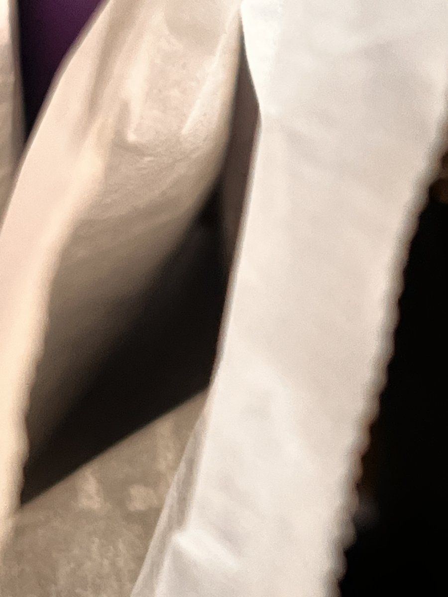 IMG 9389