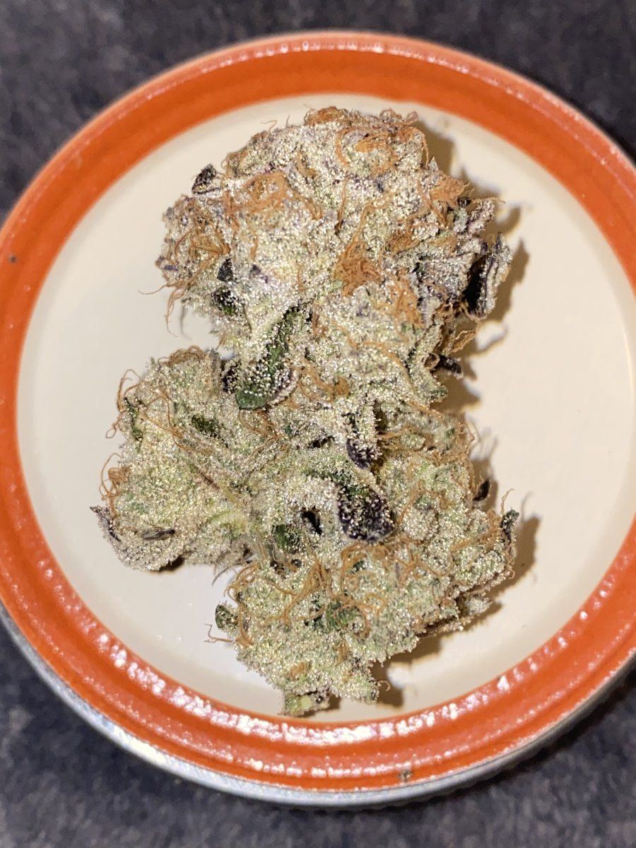 IMG 9622