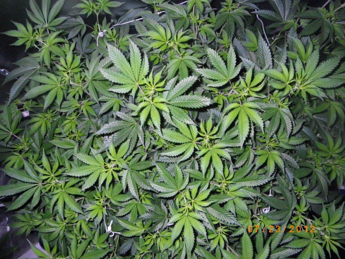 IMGP0322