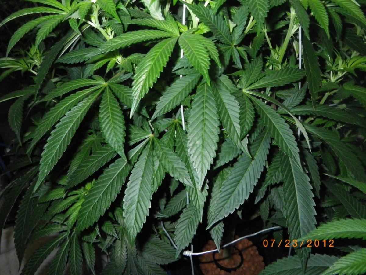 IMGP0377
