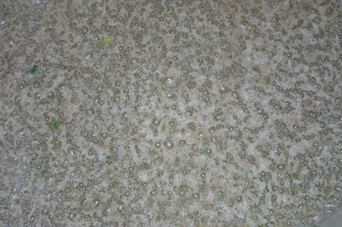 IMGP0402