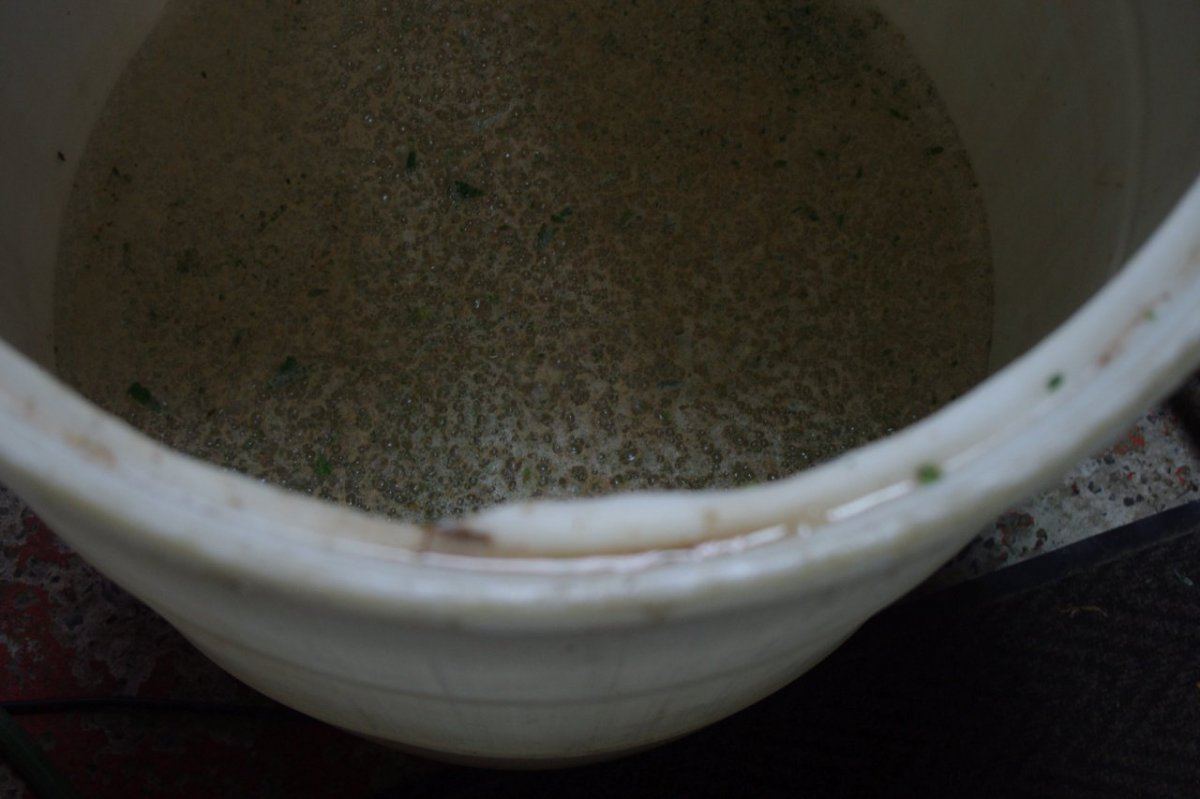 IMGP0403