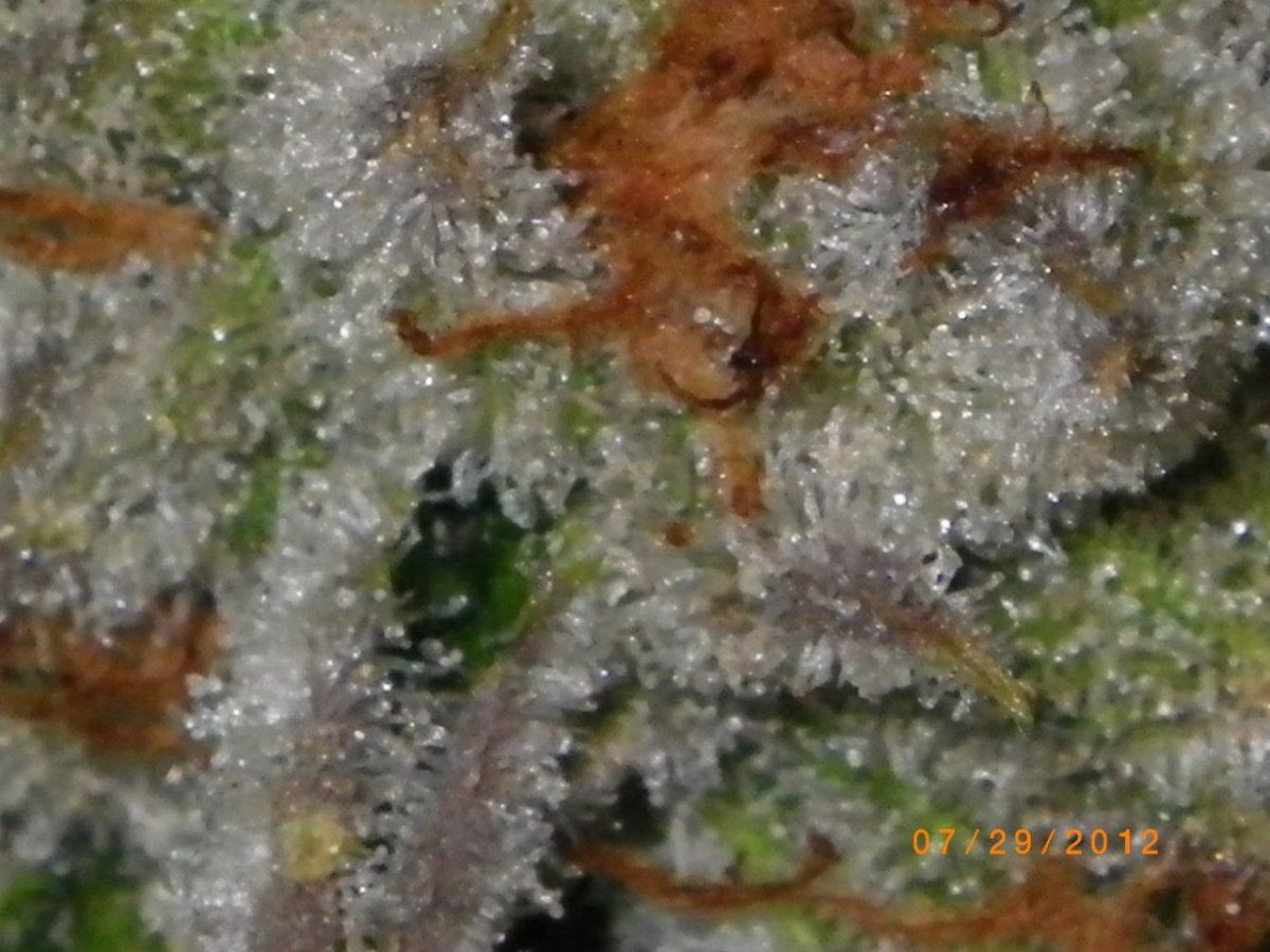 IMGP0582