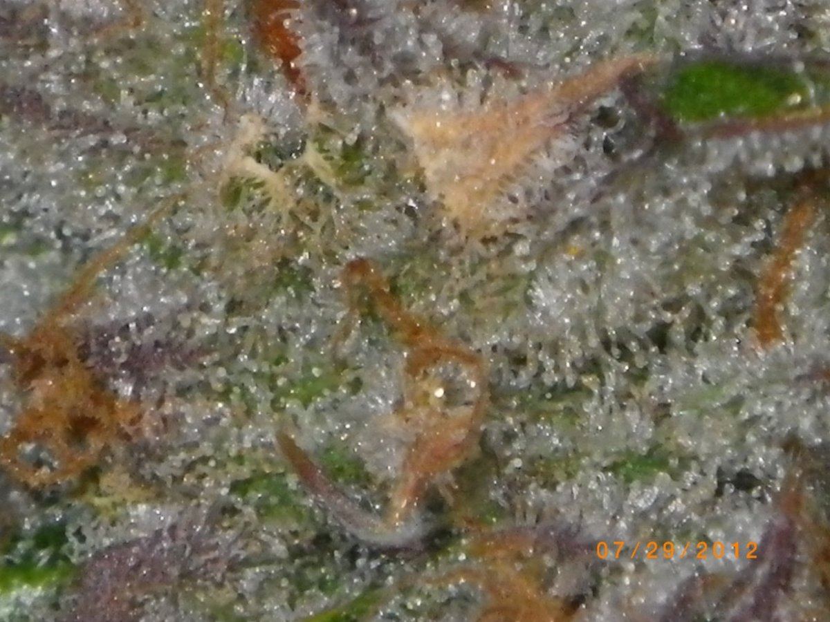 IMGP0584