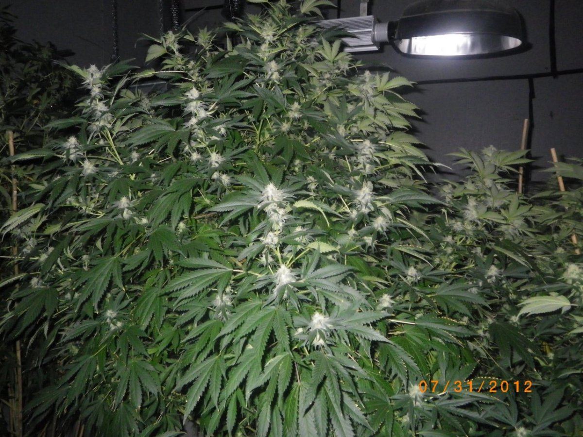 IMGP0639