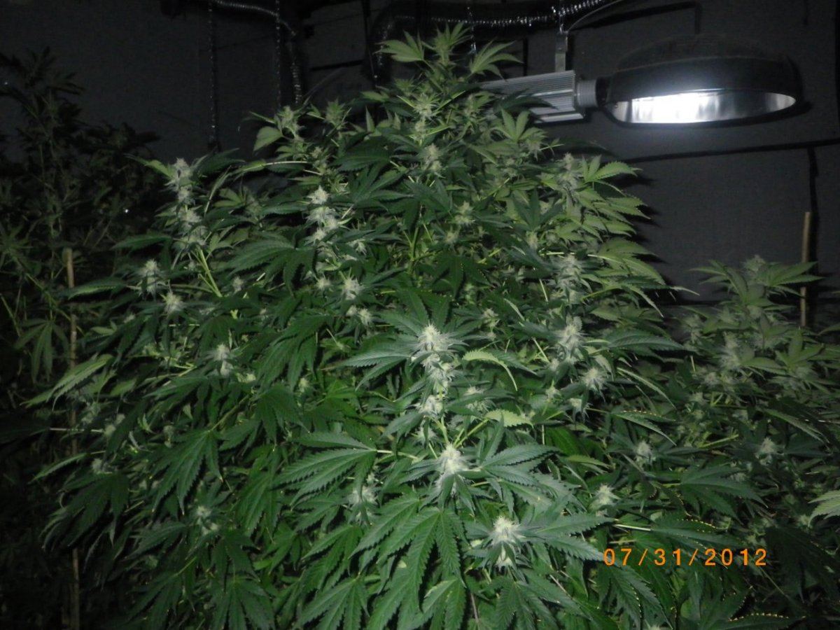 IMGP0640