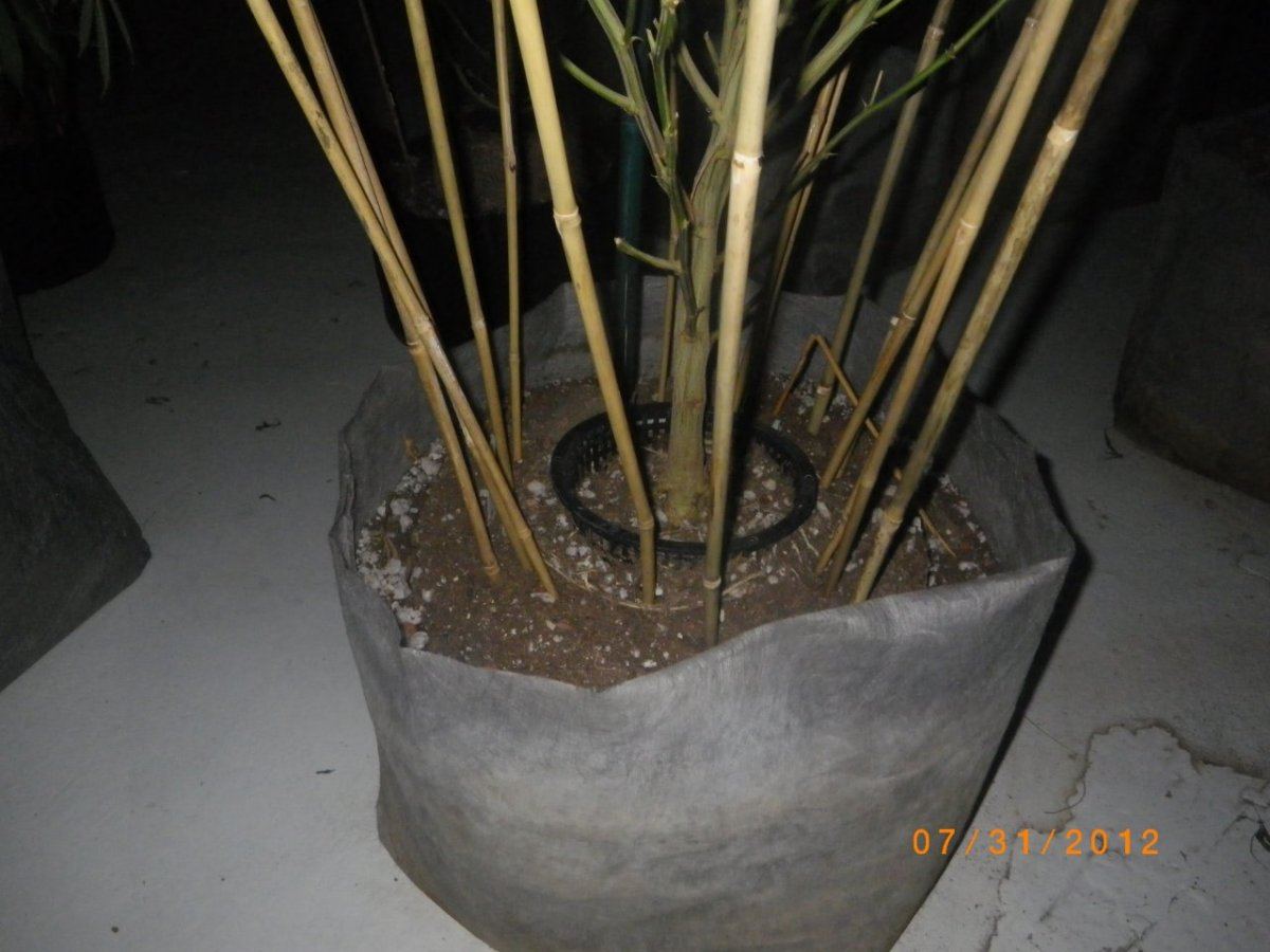 IMGP0660