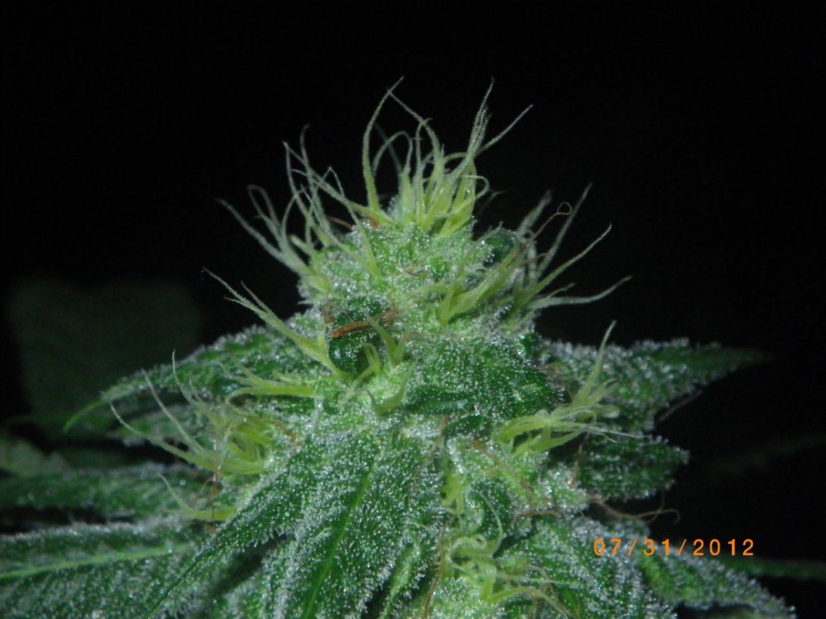 IMGP0664
