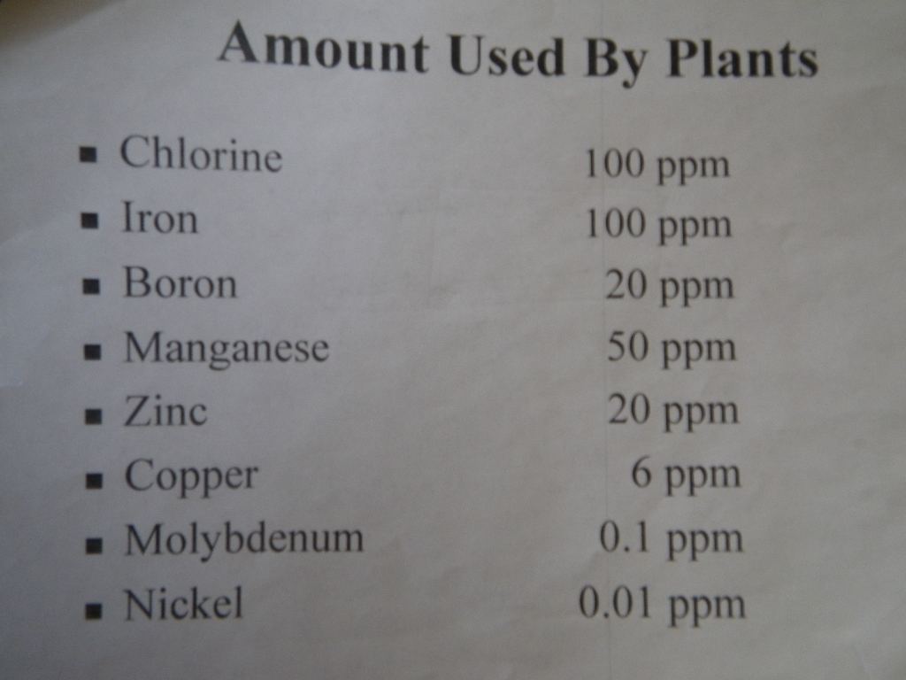 IMGP0753