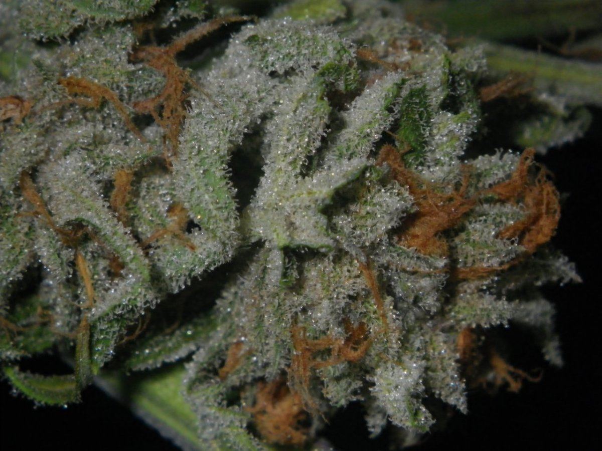 IMGP0846